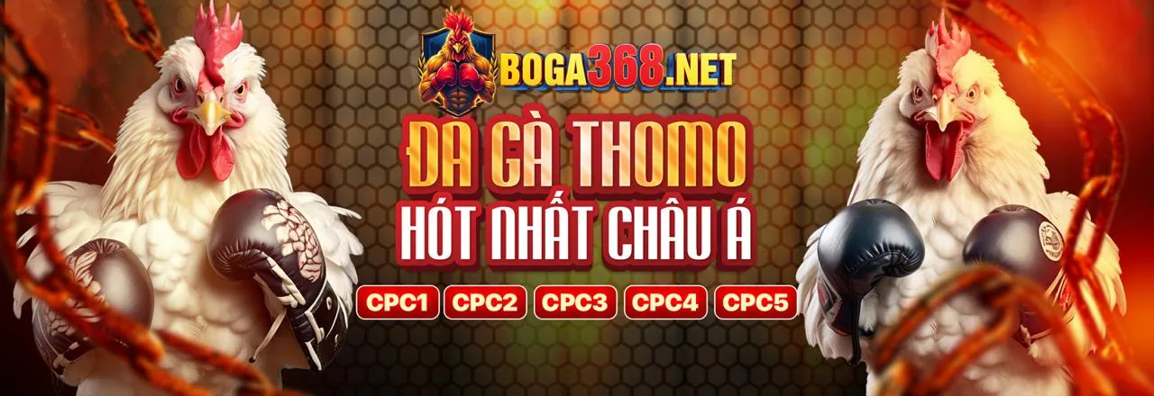 Hoàn trả cược